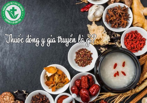 Thuốc Đông Y Gia Truyền Chữa Bệnh Xương Khớp